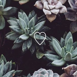 Meet your Posher, Skye